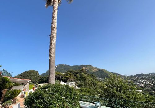 Villa San Francesco Garden a Ischia
