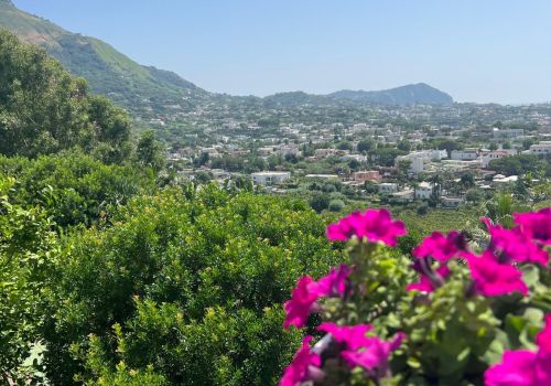 Villa San Francesco Garden a Ischia